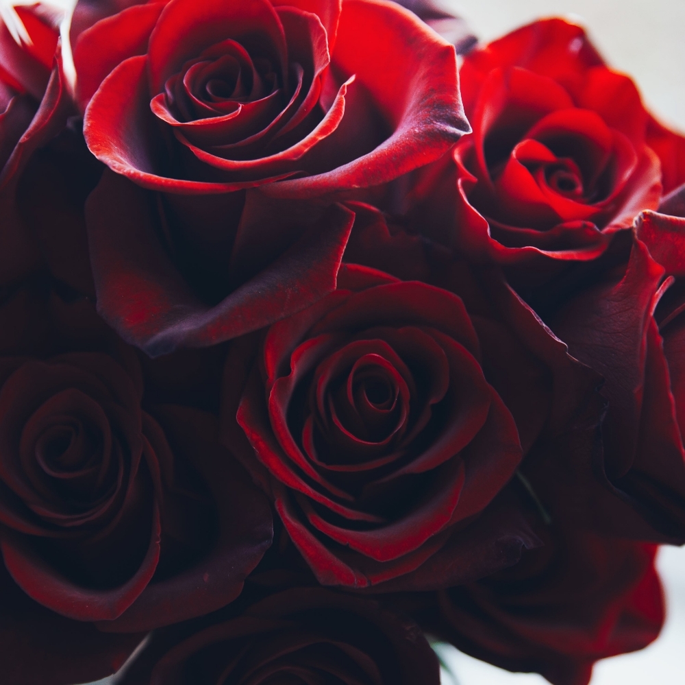 BUNDLE AND SAVE! MAKE AN OFFER!!